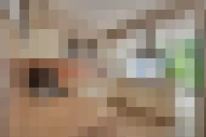 Senecalaan 4 Venlo thumbnail 19