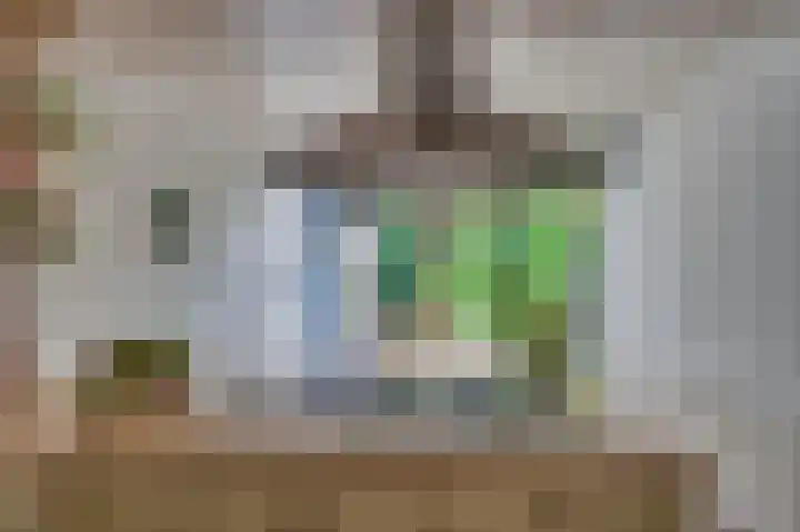 Senecalaan 4 Venlo thumbnail 20