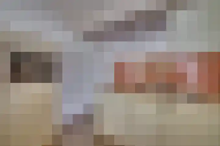 Senecalaan 4 Venlo thumbnail 22