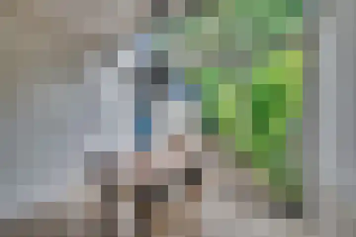 Senecalaan 4 Venlo thumbnail 23