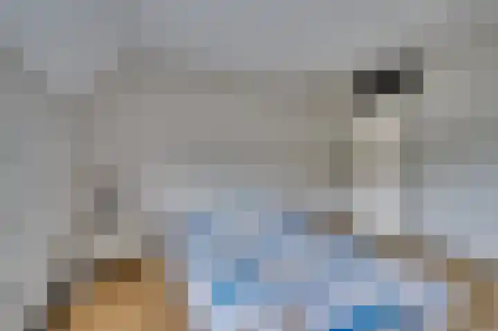 Senecalaan 4 Venlo thumbnail 28