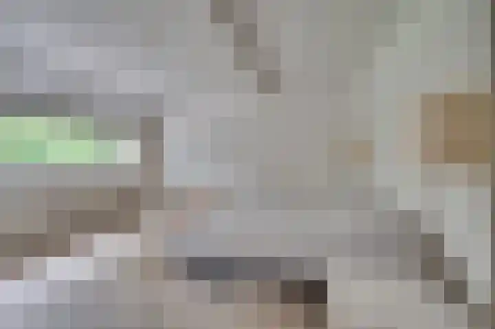 Senecalaan 4 Venlo thumbnail 33