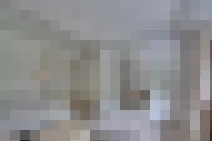 Senecalaan 4 Venlo thumbnail 36