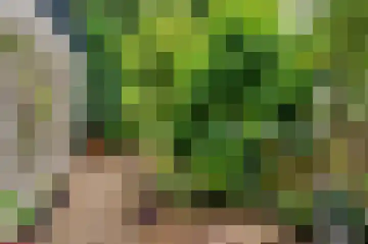 Senecalaan 4 Venlo thumbnail 4