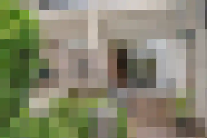 Senecalaan 4 Venlo thumbnail 45