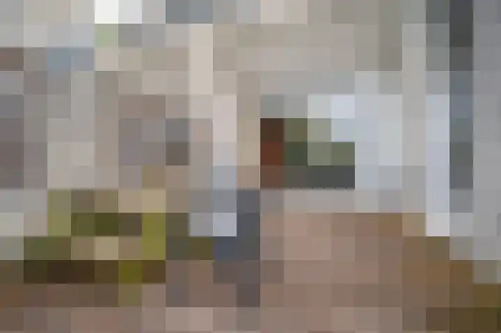 Senecalaan 4 Venlo thumbnail 46