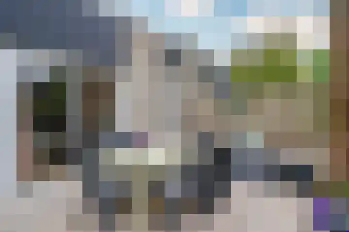 Senecalaan 4 Venlo thumbnail 53