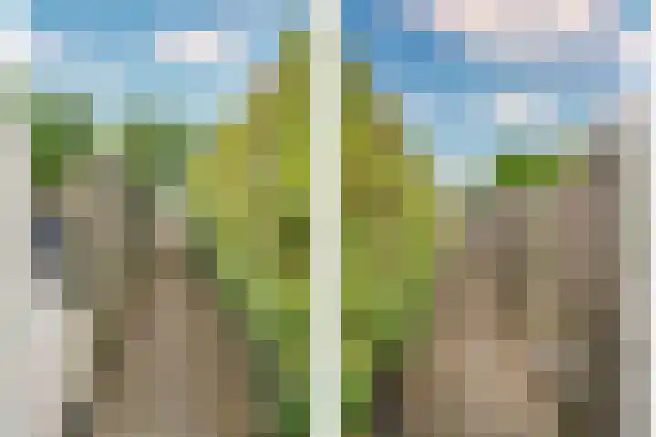 Senecalaan 4 Venlo thumbnail 55