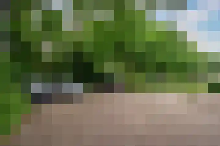 Senecalaan 4 Venlo thumbnail 56