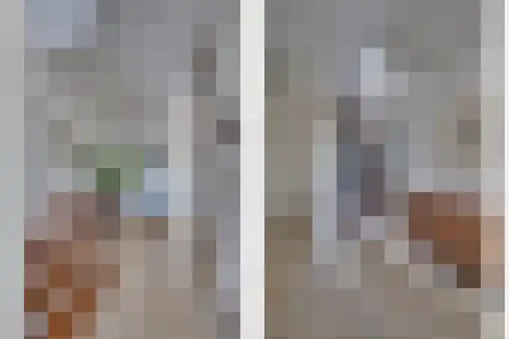 Senecalaan 4 Venlo thumbnail 6