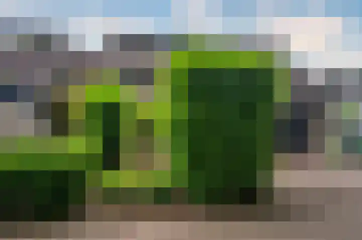Senecalaan 4 Venlo thumbnail 69