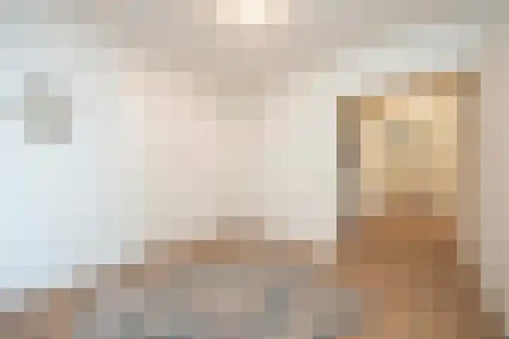 Senecalaan 52 's-Hertogenbosch thumbnail 6