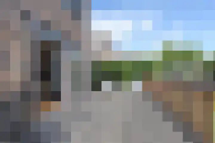 Senecastraat 23 Den Haag thumbnail 13