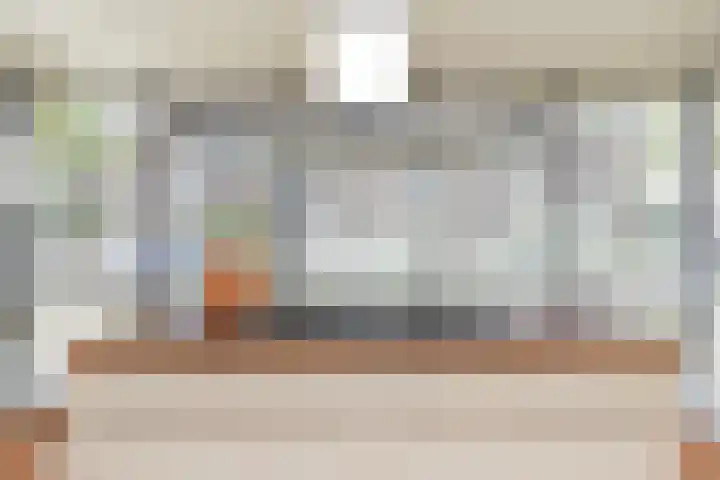 Senecastraat 23 Den Haag thumbnail 23