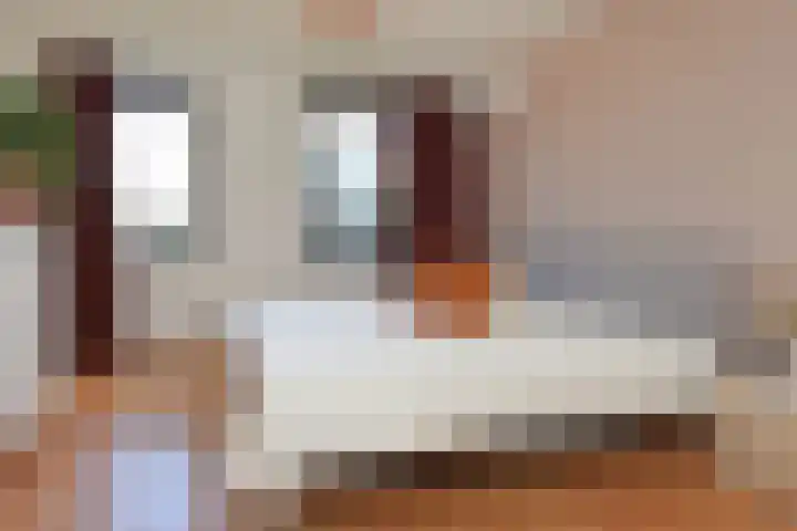 Senecastraat 23 Den Haag thumbnail 31