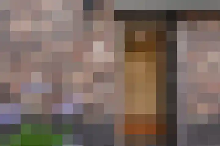 Senecastraat 23 Den Haag thumbnail 4