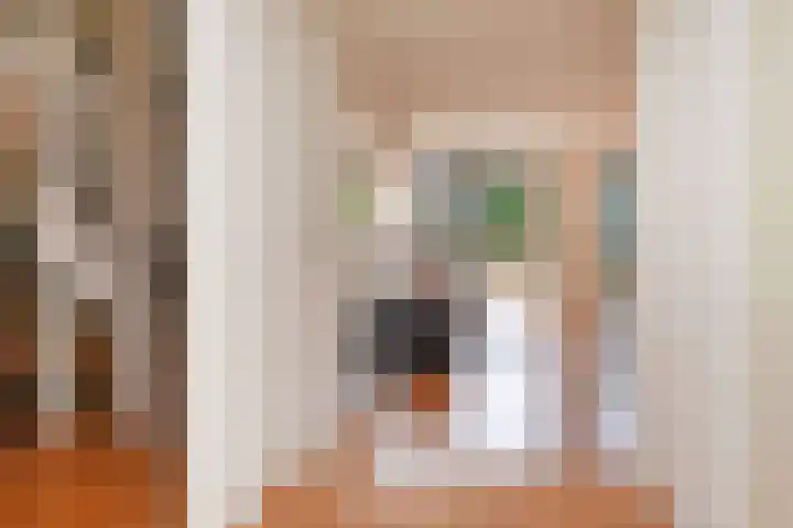 Senecastraat 23 Den Haag thumbnail 6