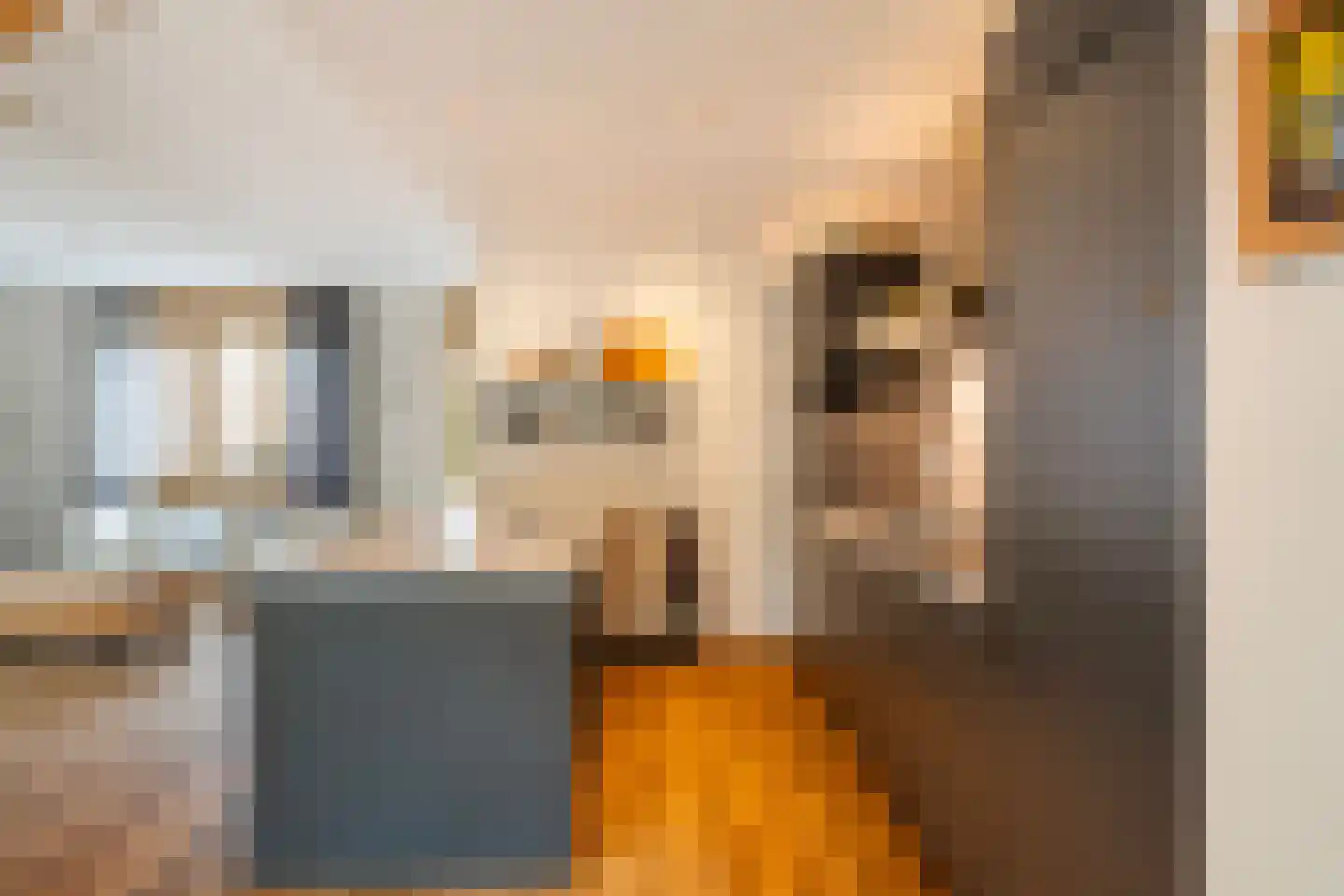 Senecastraat 28 Leiden thumbnail 17