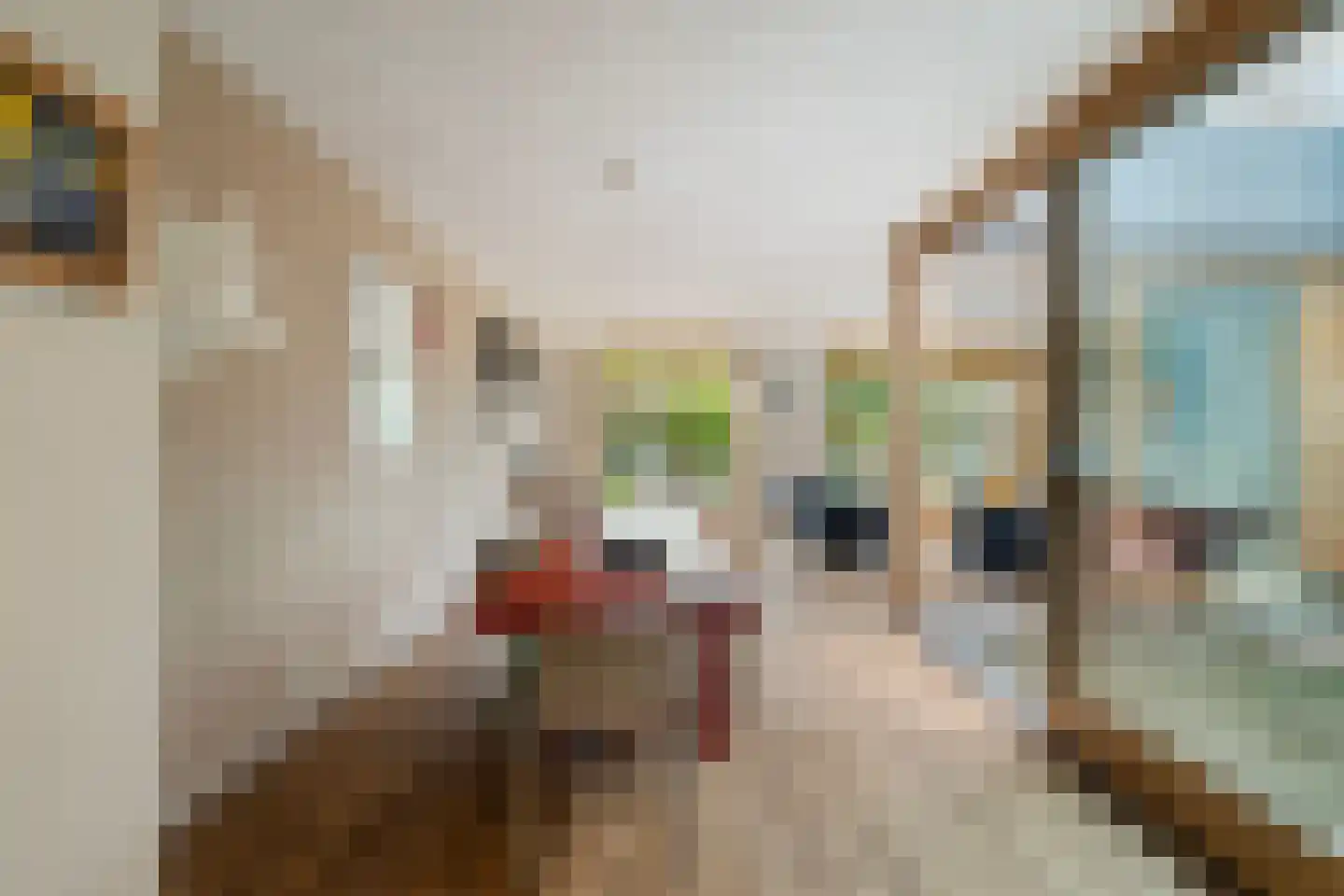 Senecastraat 28 Leiden thumbnail 19