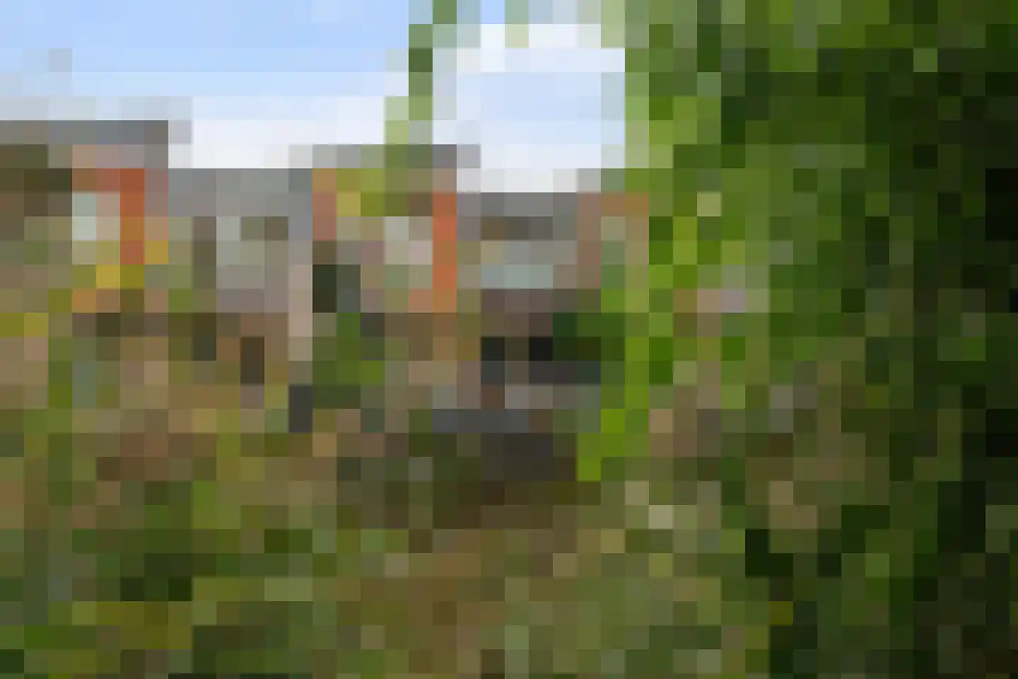 Senecastraat 28 Leiden thumbnail 64