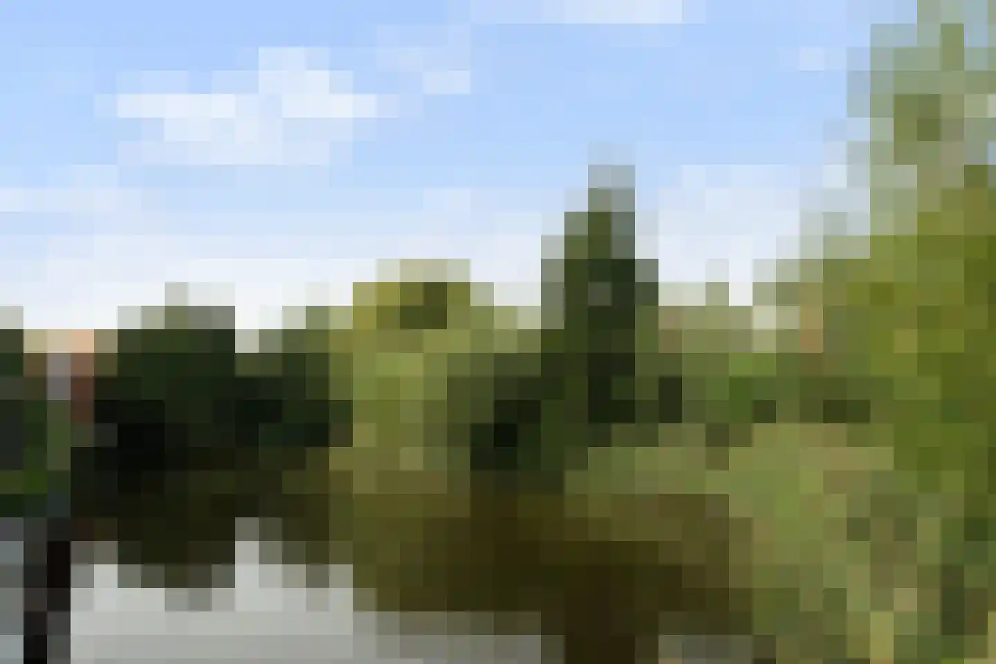 Senecastraat 28 Leiden thumbnail 65