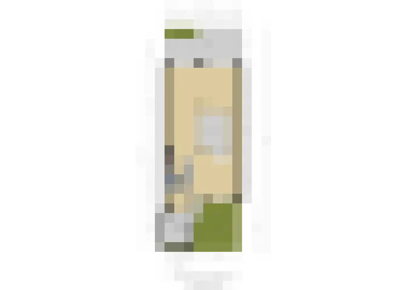 Senecastraat 28 Leiden thumbnail 66