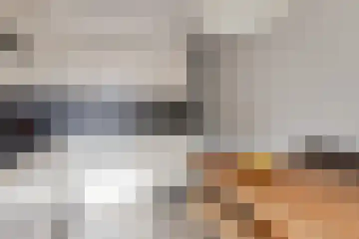 Senecastraat 44 Den Haag thumbnail 10
