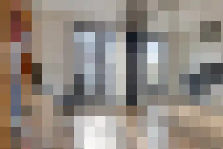 Senecastraat 44 Den Haag thumbnail 17