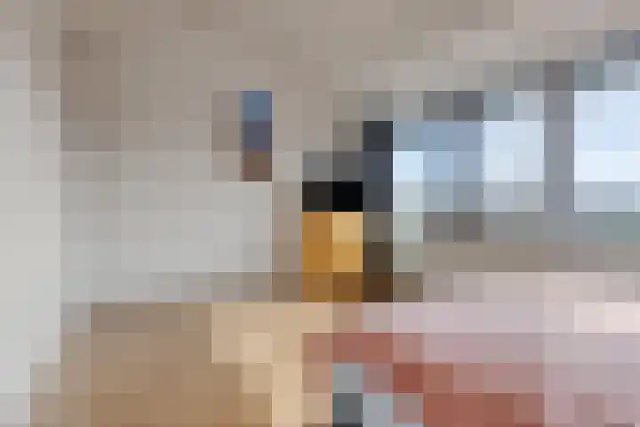 Senecastraat 44 Den Haag thumbnail 20