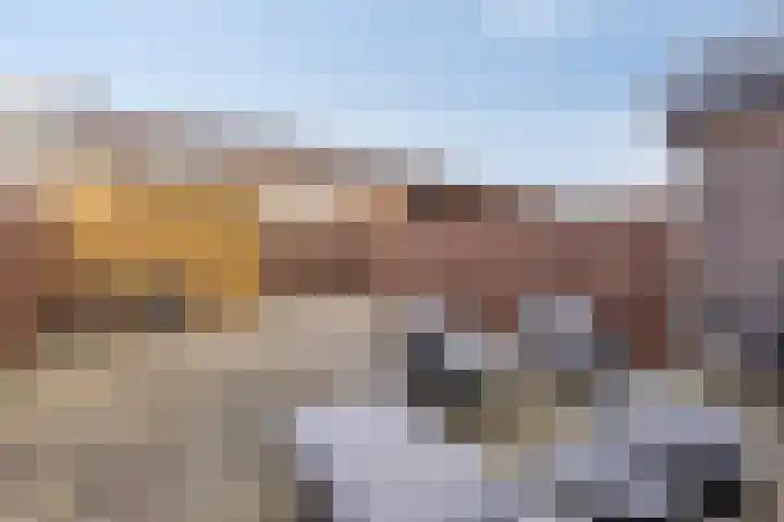 Senecastraat 44 Den Haag thumbnail 22