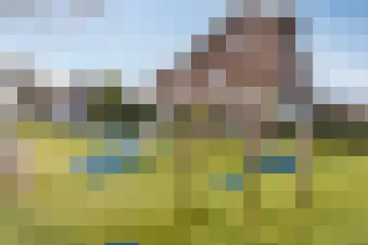 Senecastraat 44 Den Haag thumbnail 28