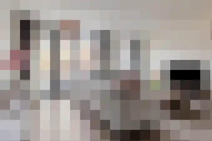 Senecastraat 44 Den Haag thumbnail 6