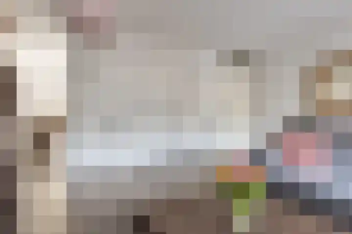 Senecastraat 44 Den Haag thumbnail 8