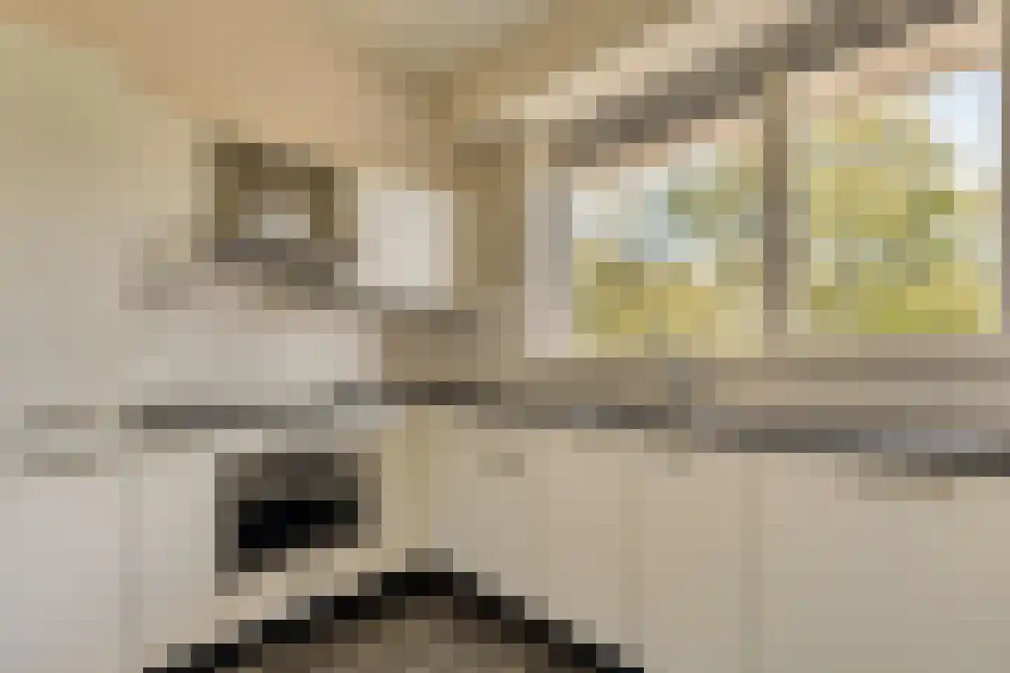 Senecastraat 45 Amsterdam thumbnail 11