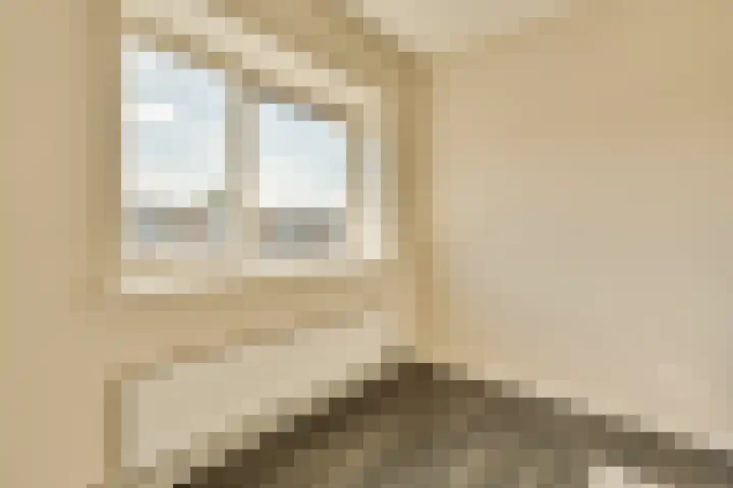 Senecastraat 45 Amsterdam thumbnail 17