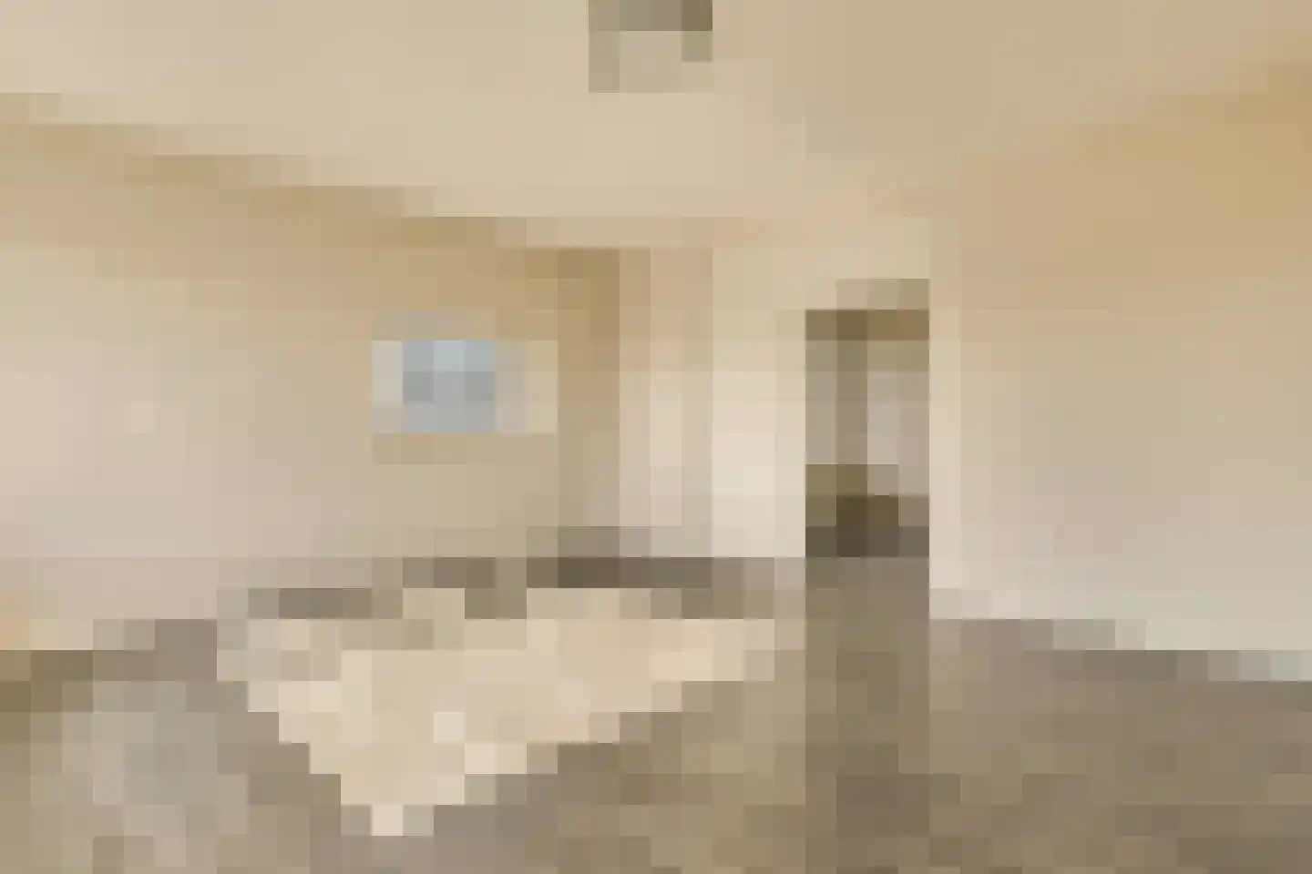 Senecastraat 45 Amsterdam thumbnail 6