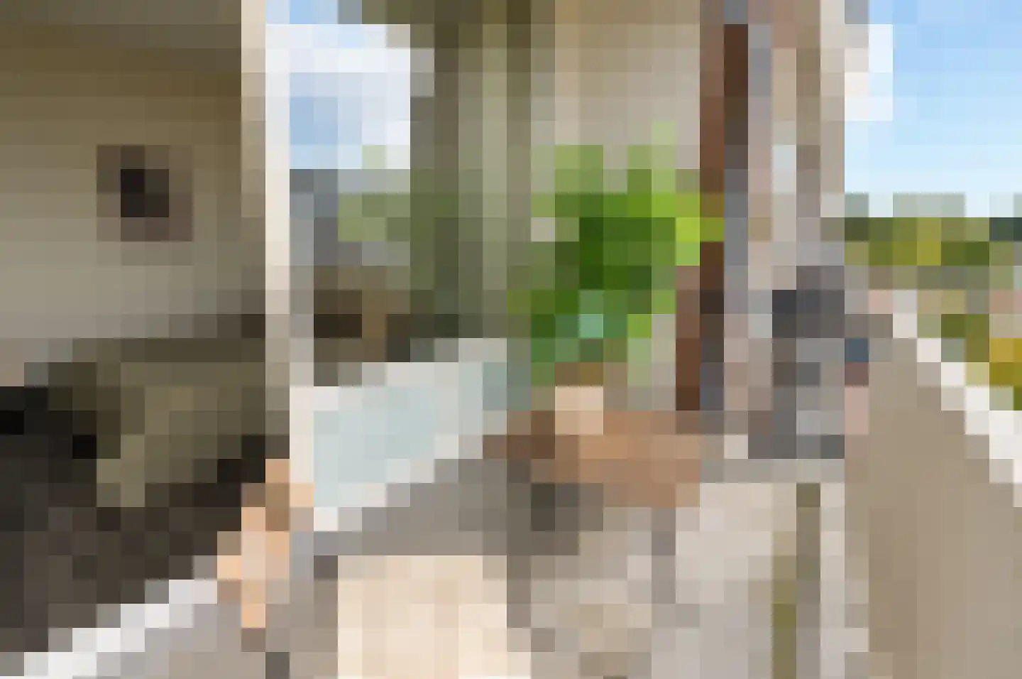 Senecastraat 99 Amsterdam thumbnail 18