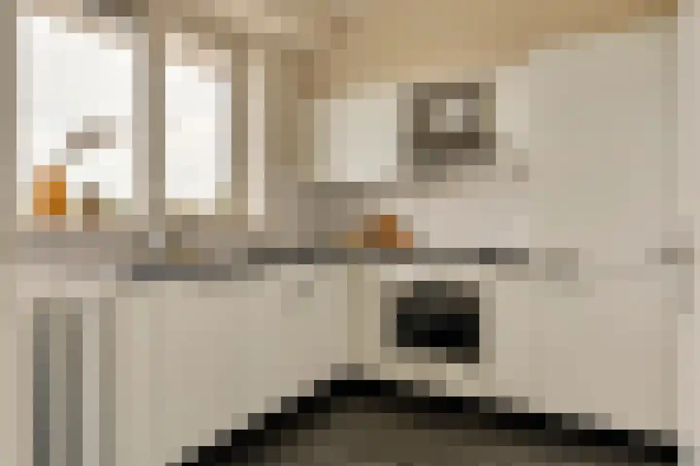 Senecastraat 99 Amsterdam thumbnail 19