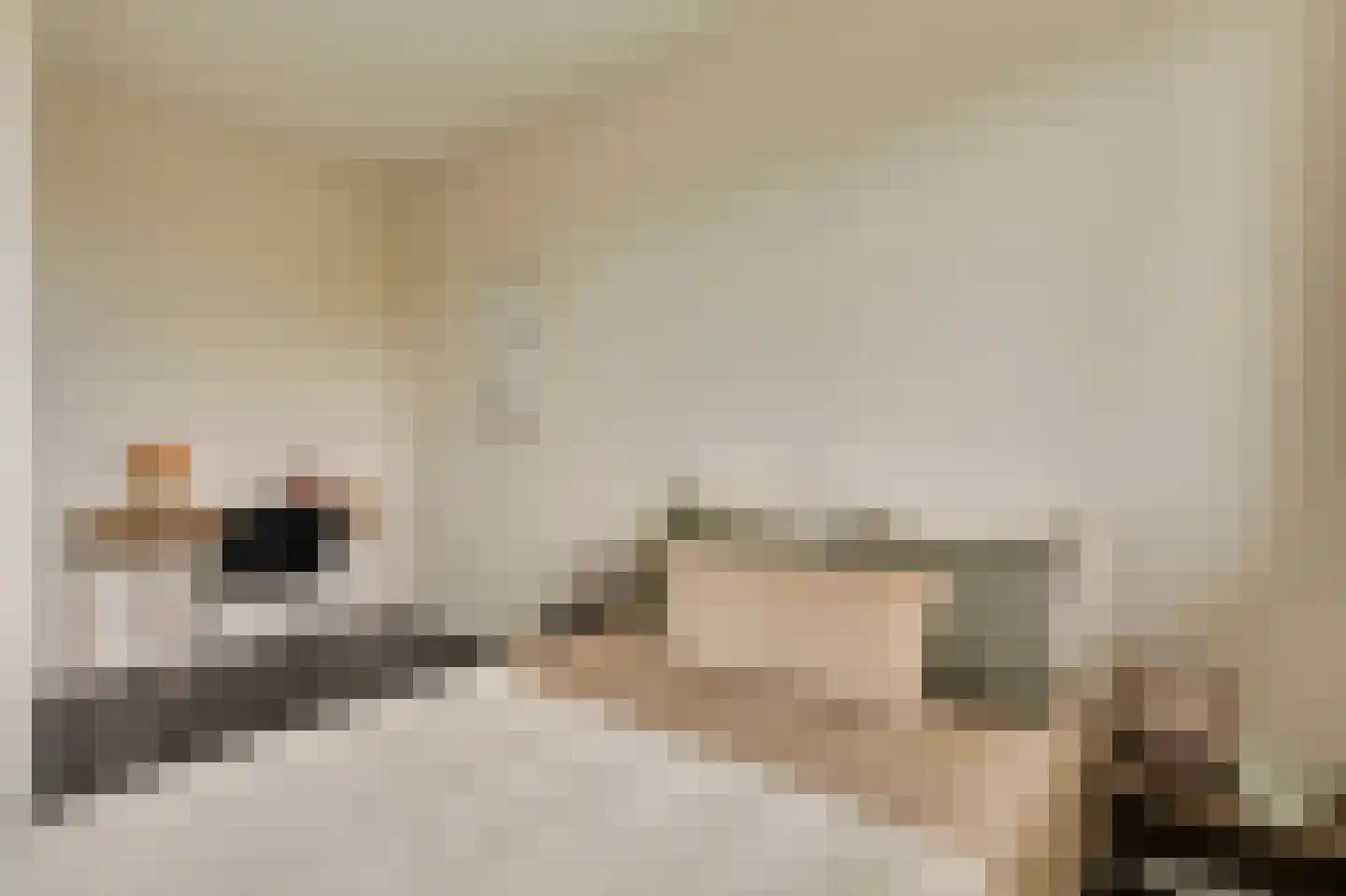 Senecastraat 99 Amsterdam thumbnail 23