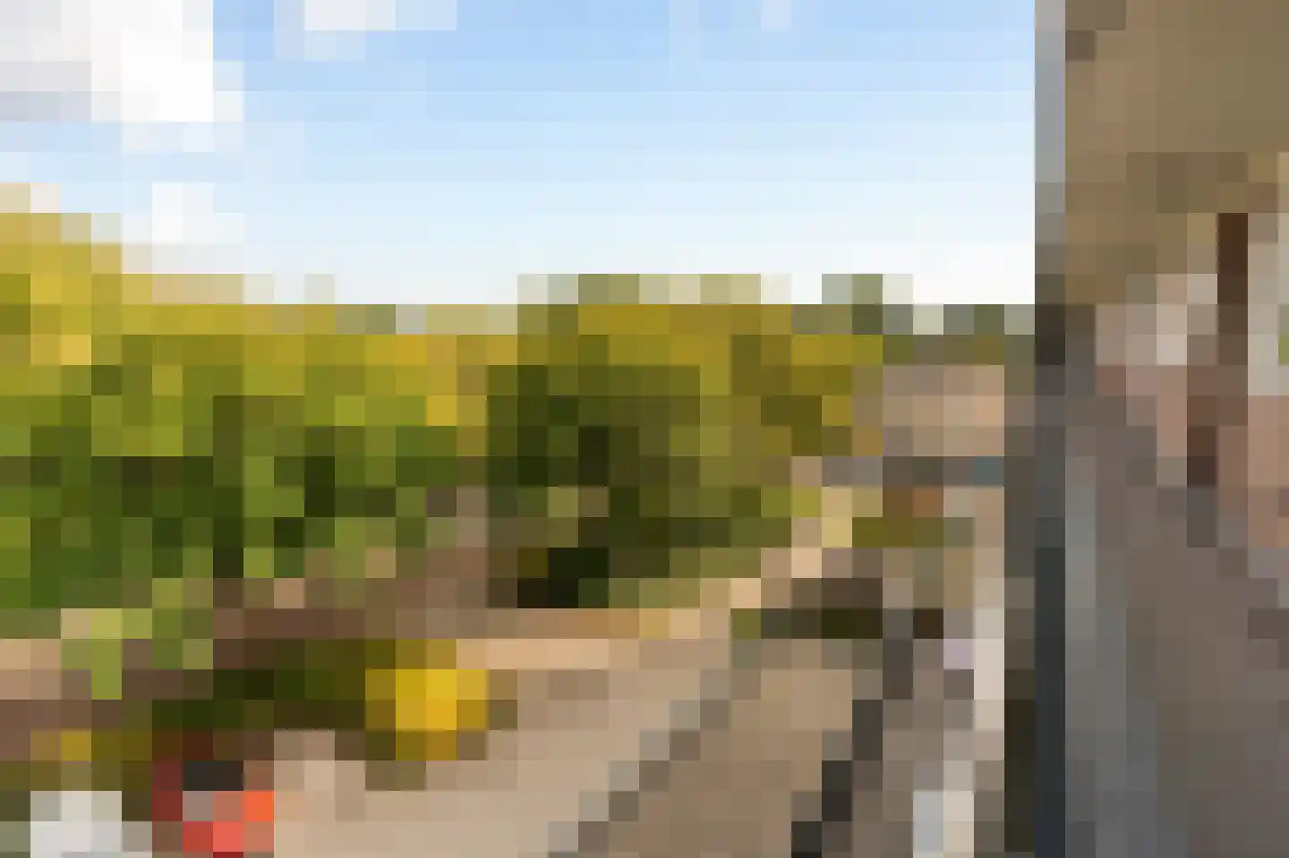 Senecastraat 99 Amsterdam thumbnail 30