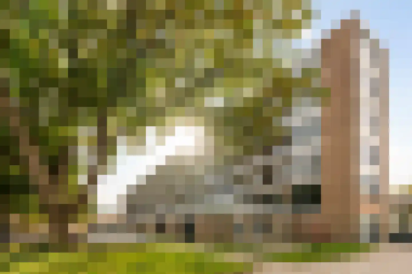 Senecastraat 99 Amsterdam thumbnail 33