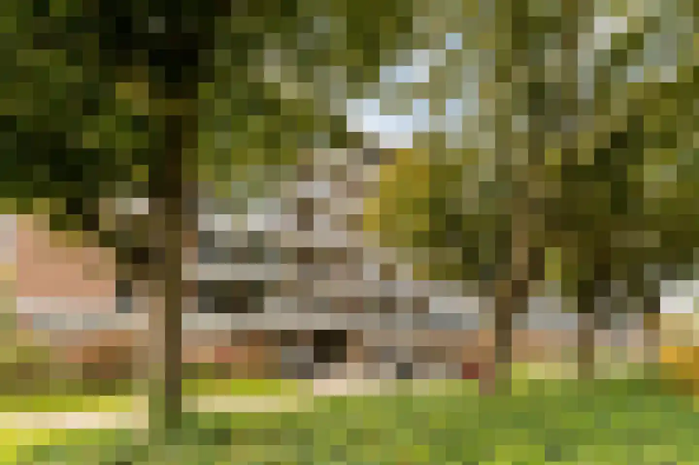 Senecastraat 99 Amsterdam thumbnail 4