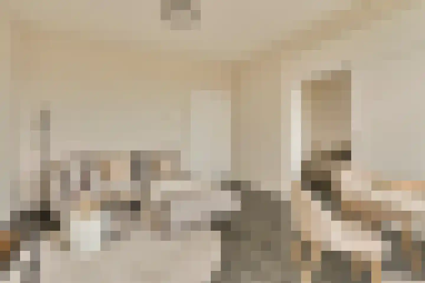 Senecastraat 99 Amsterdam thumbnail 5