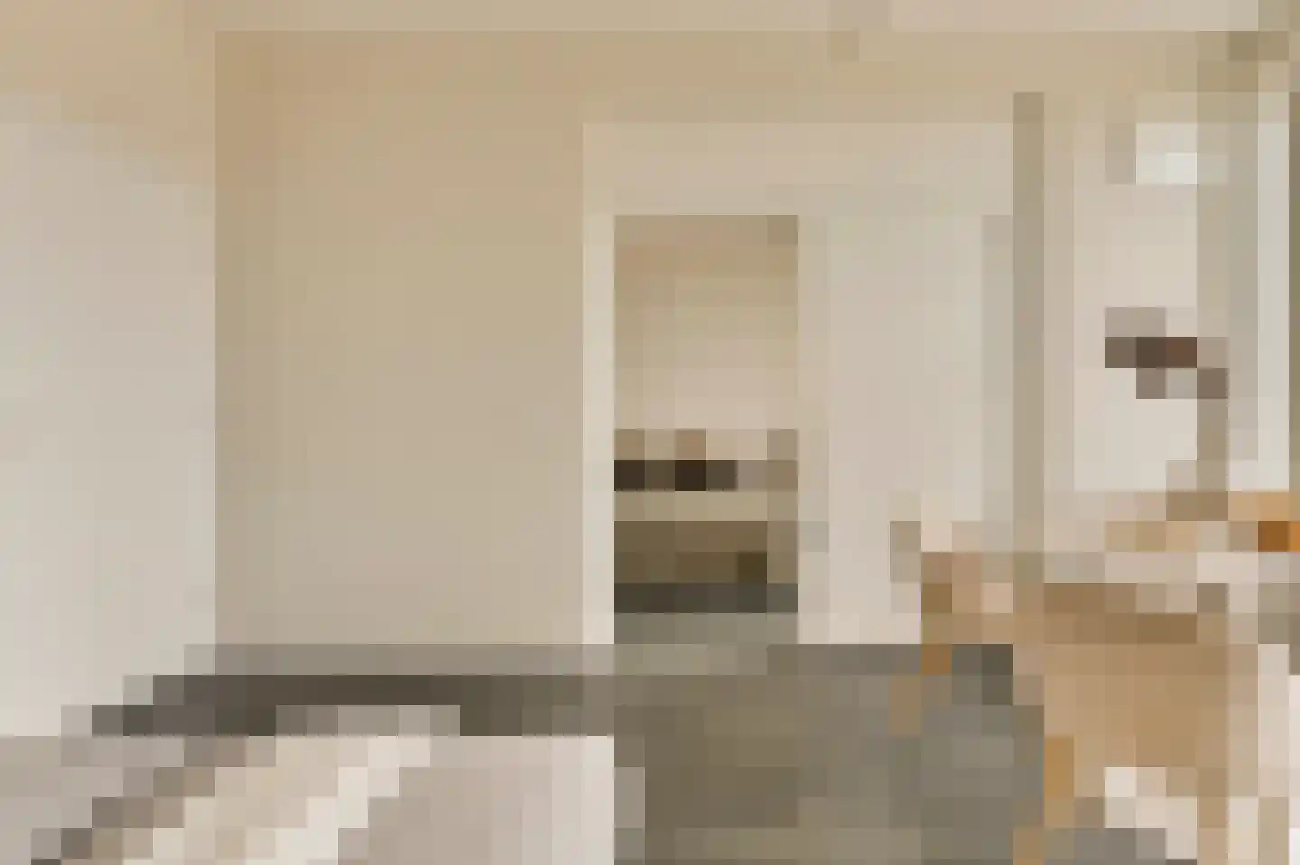 Senecastraat 99 Amsterdam thumbnail 7