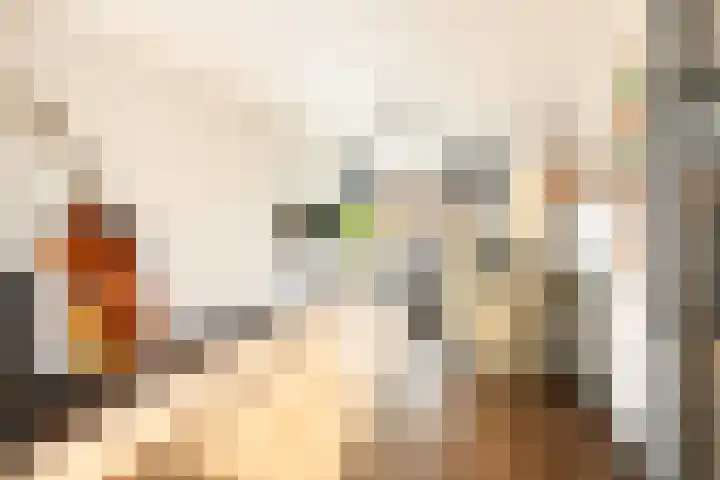 Senefelderstraat 1 1 Amsterdam thumbnail 4
