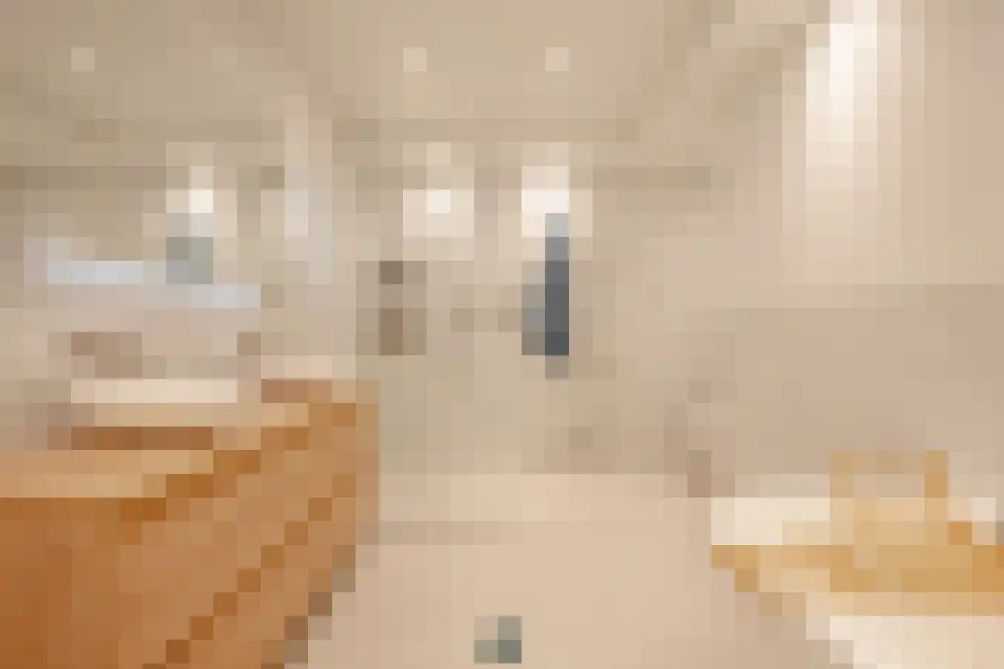 Senefelderstraat 5 H Amsterdam thumbnail 15
