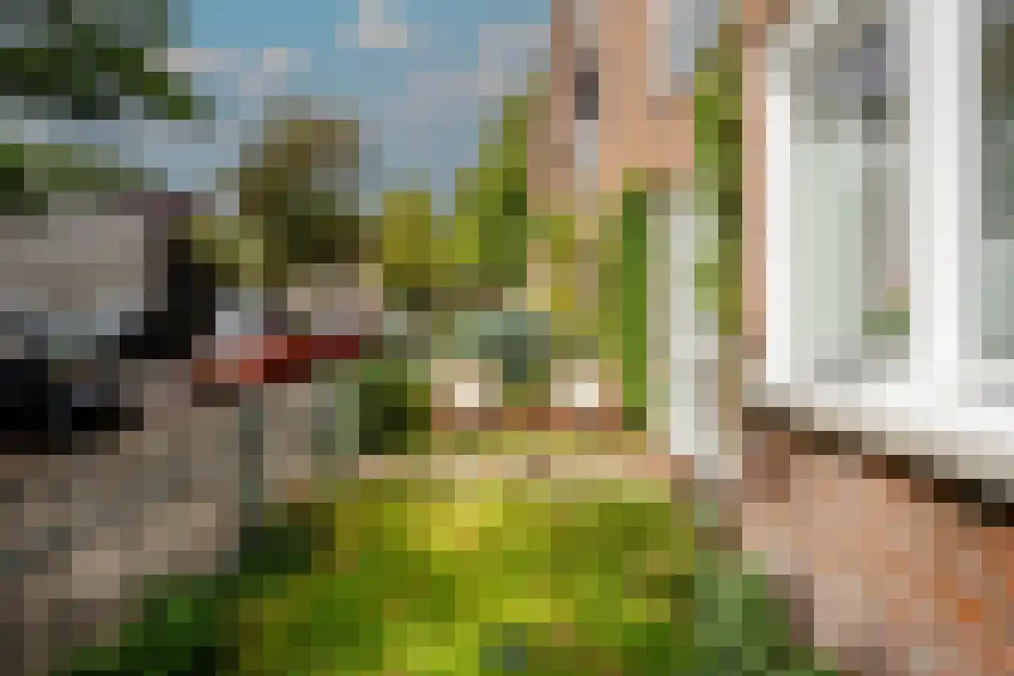 Senefelderstraat 5 H Amsterdam thumbnail 25