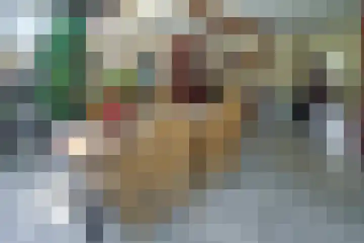 Sengersweg 5 Aarle-Rixtel thumbnail 11