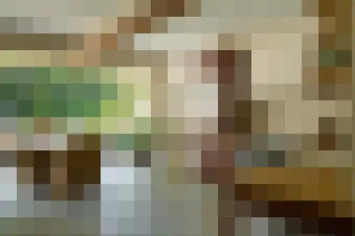 Sengersweg 5 Aarle-Rixtel thumbnail 12