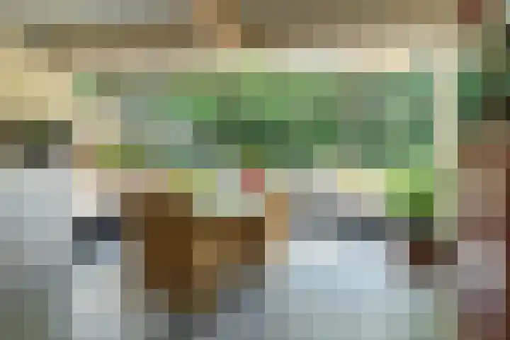 Sengersweg 5 Aarle-Rixtel thumbnail 13